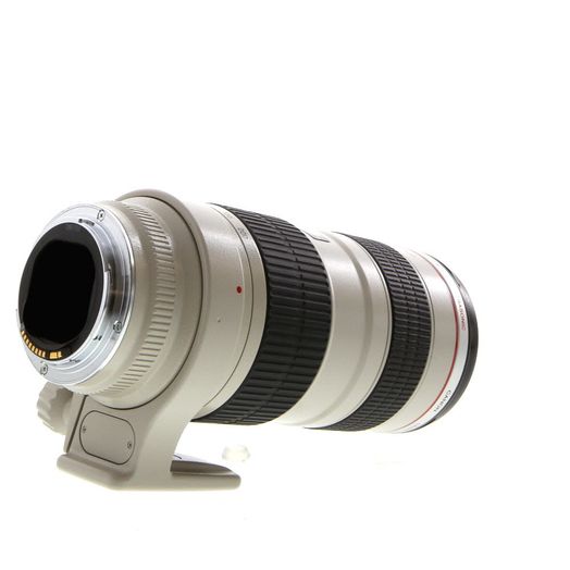 棘 (トゲ) Canon EF 70-200mm 1:2.8 L Amazon.com : Canon EF 70-200mm