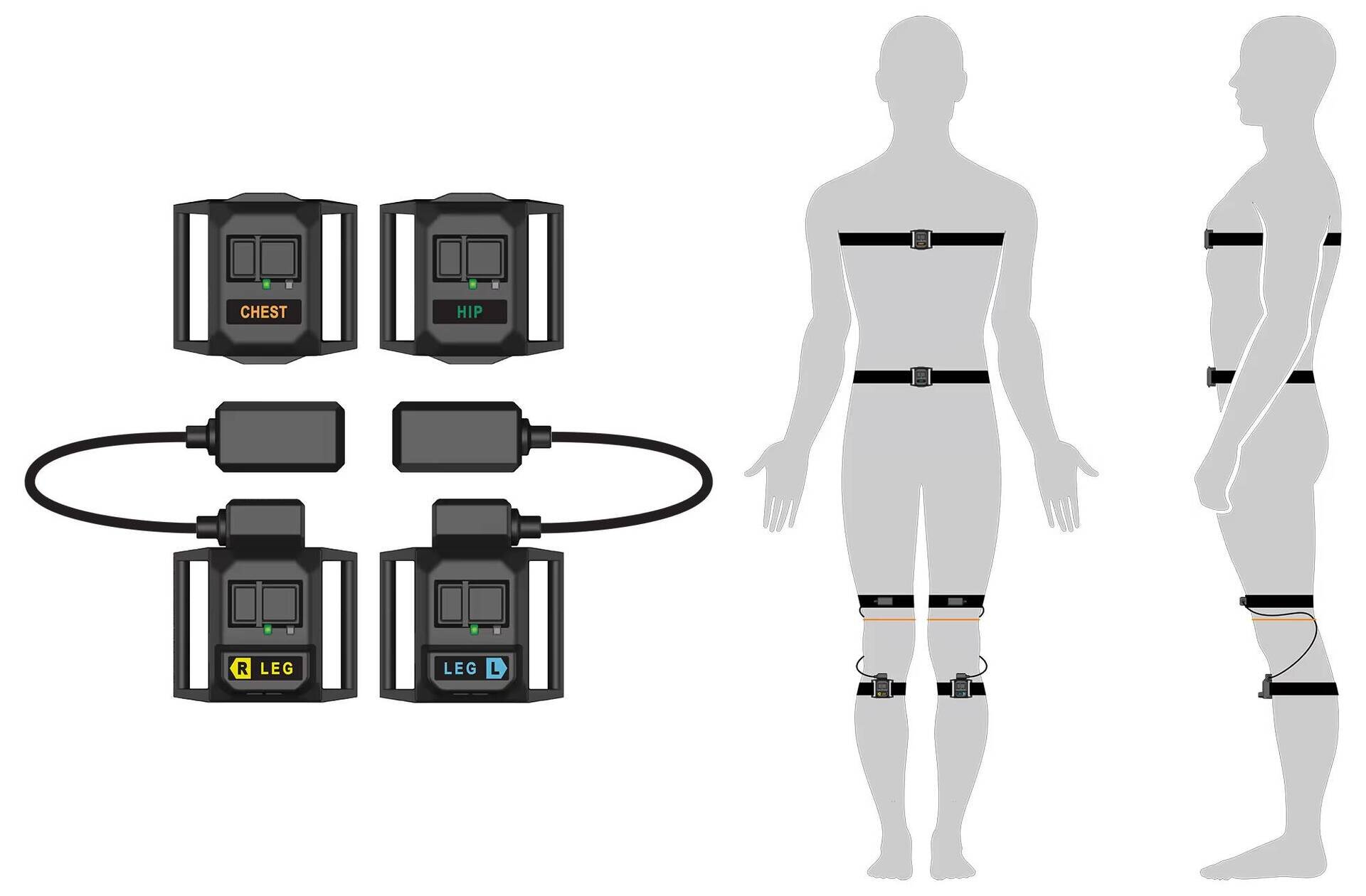 HARITORAX 2 ＋GX6ドングルセット ハリトラ 2_7184511e-a78a-4d7c-a214-