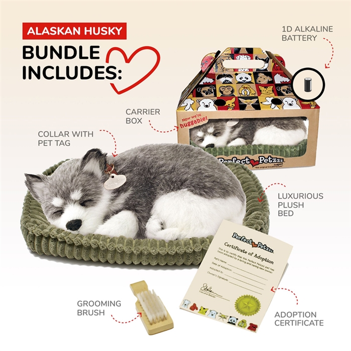 Perfect Petzzz Alaskan Husky Pup | Pet Therapy for Dementia