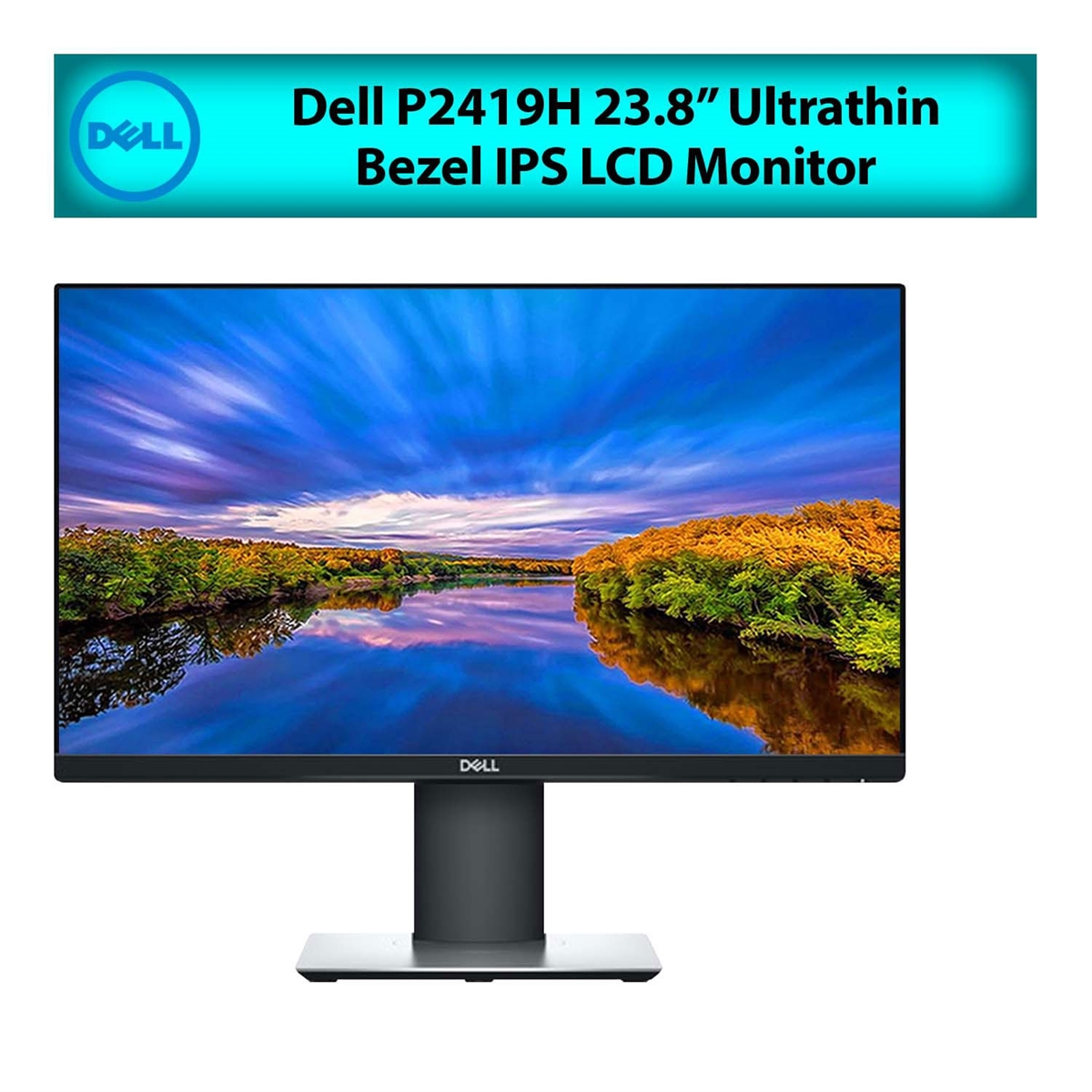 Dell P2419H 23.8