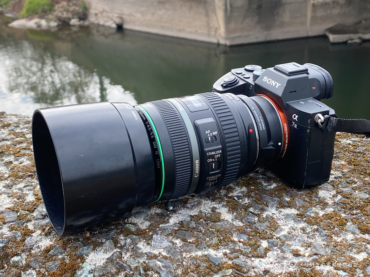 EF 70-300mm F4-5.6 DO IS USMを衝動買いする - 変なカメラ好きの写真