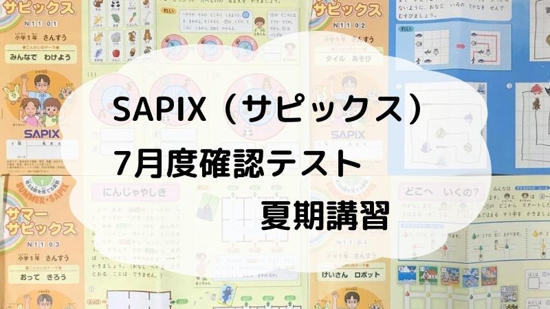 サピックス サピックス 7月入室・組分けテスト 6年 6年 2022,24年7