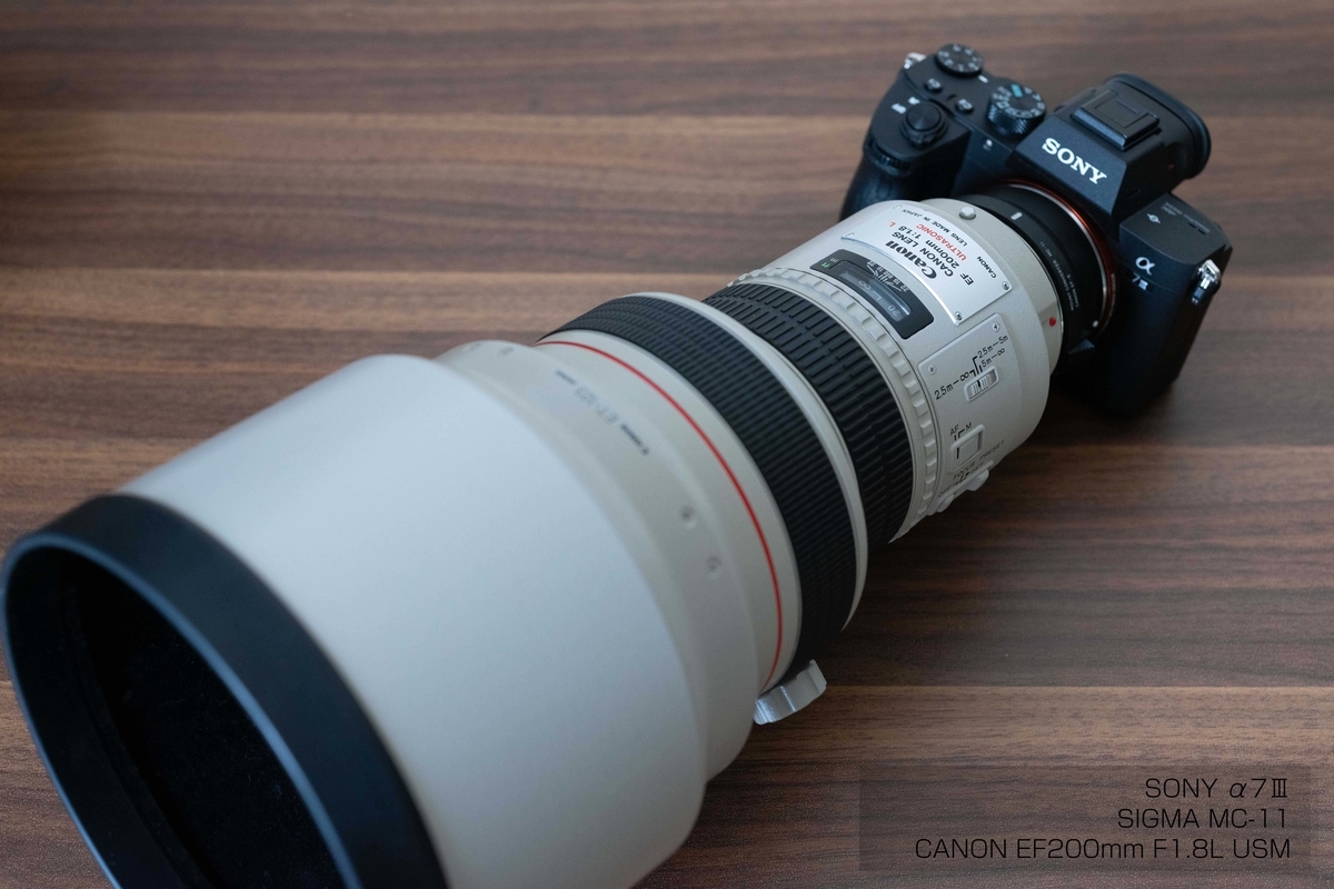 1番ボケるレンズ！？】CANON EF200mm F1.8L USM - いーさんのブログ