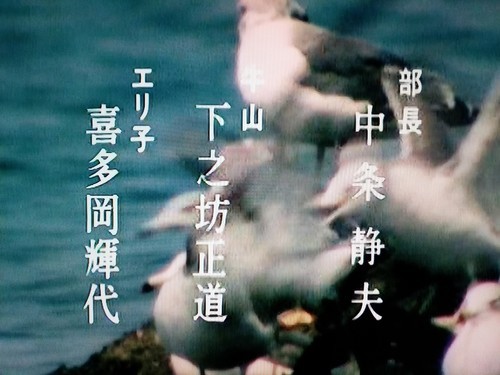 かもめは7羽 中条静夫 嶋田親一の証言と資料に拠る⑤ - 脇役本