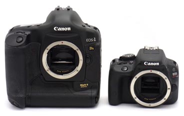 キヤノン EOS Kiss X7を使ってみました - 写真にこだわる