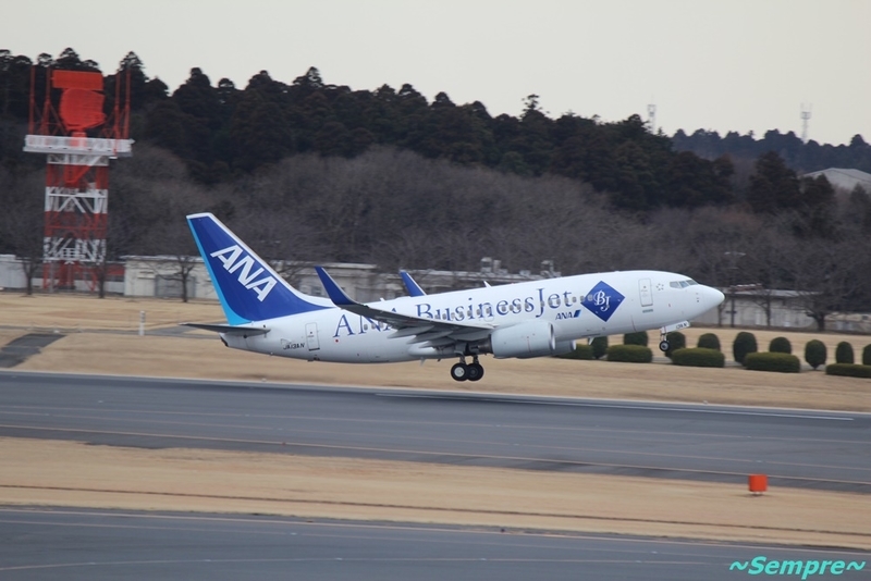 全日空商事 ANA B737-700ER ビジネスジェット JA10AN 1/400スケール