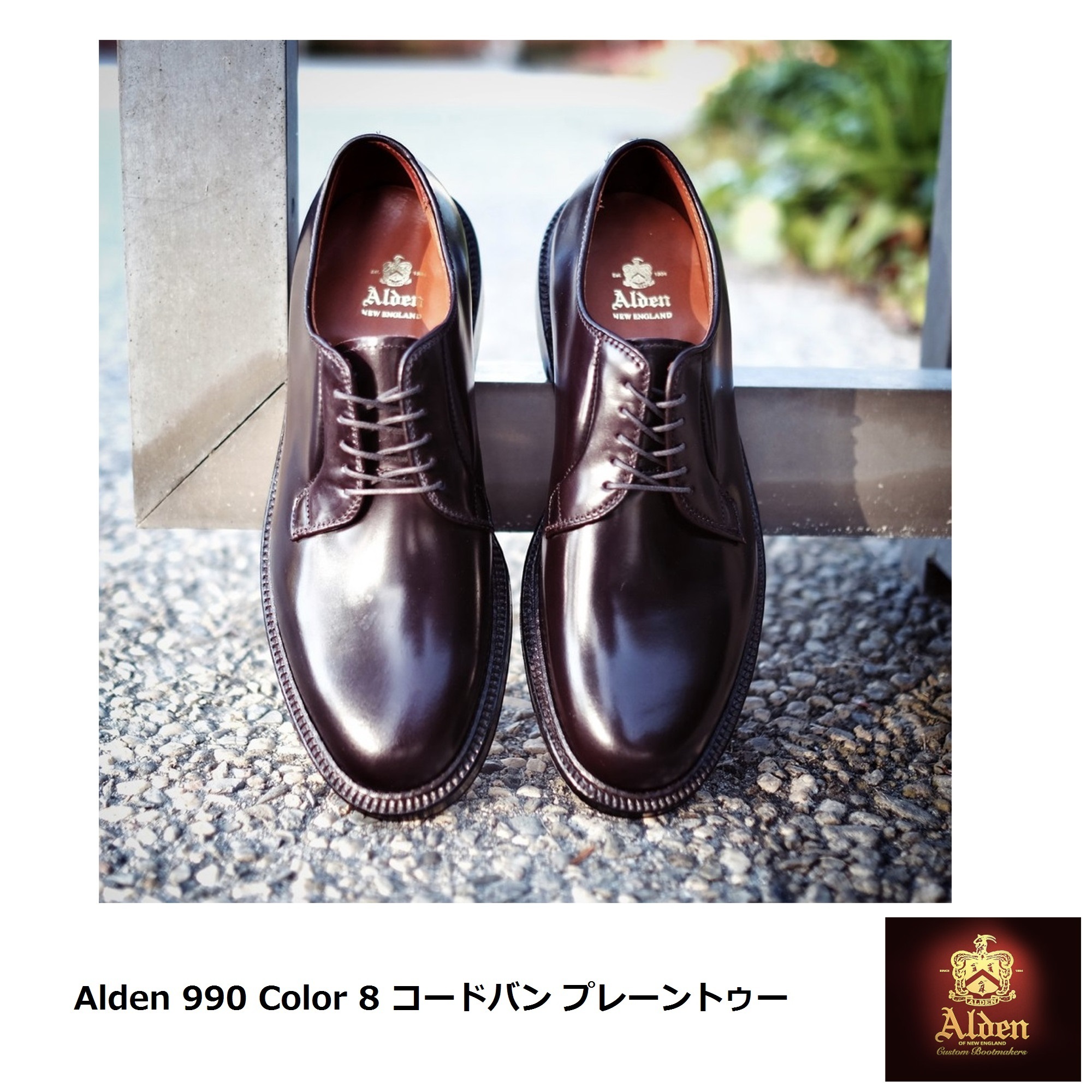 Alden] 990 Color 8 バーガンディ―コードバン プレーントゥ (ALDEN