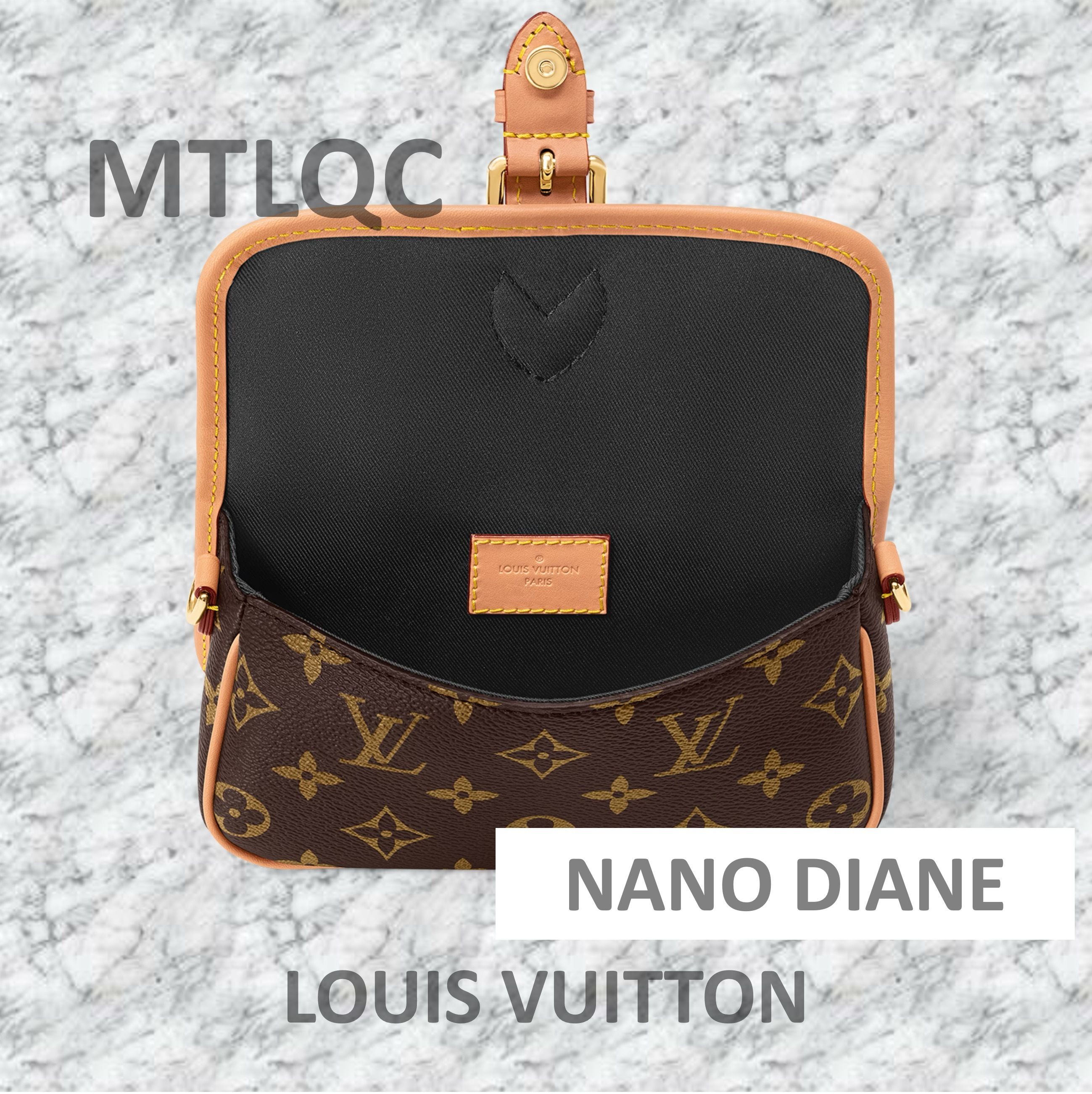 Louis Vuitton ルイヴィトン Nano Diane ナノディアヌ バッグ (Louis