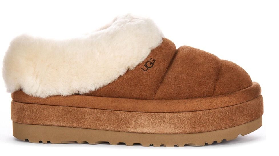 UGG アグ /TAZZLITA タズリータ チェスナット (UGG/スリッポン