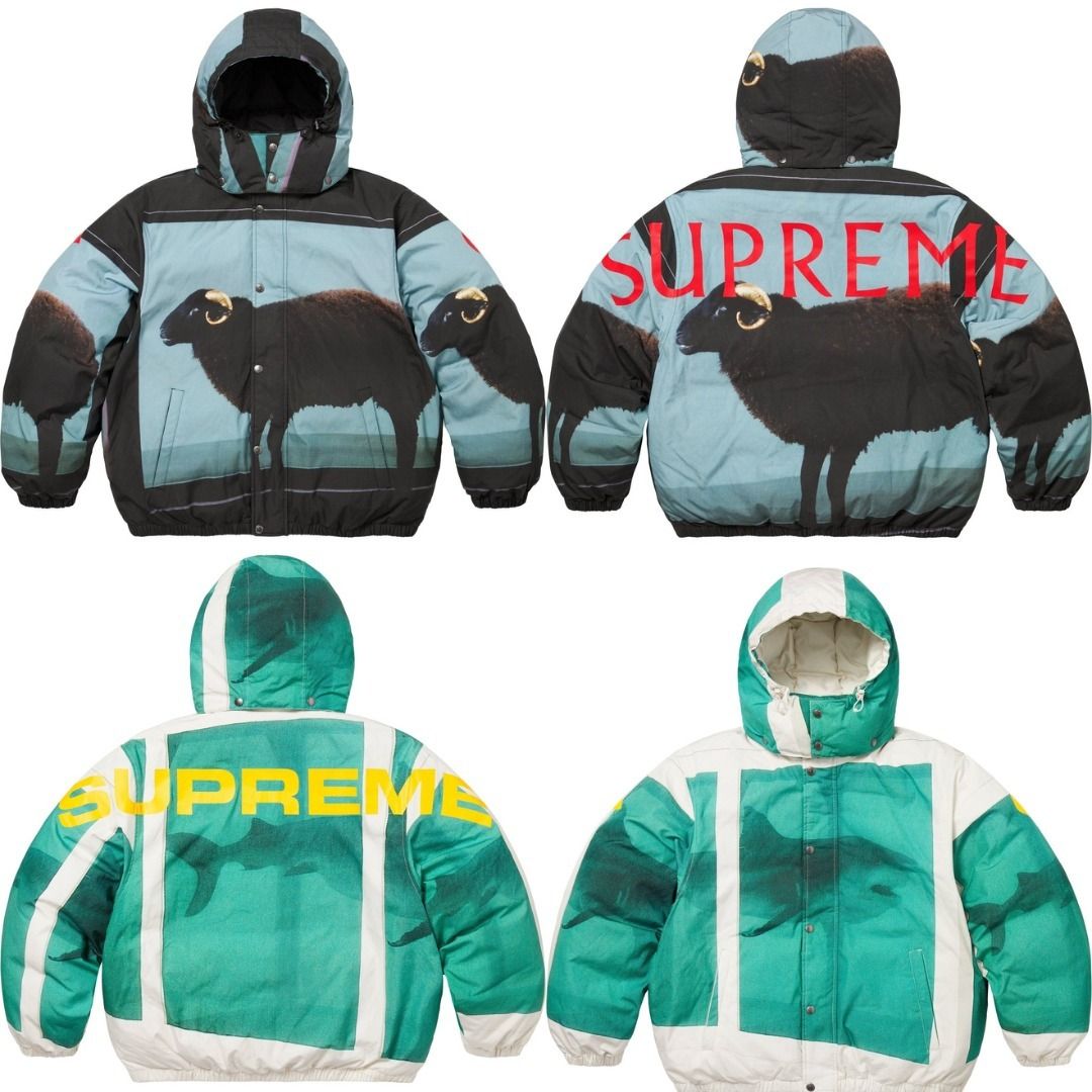 25SS 立ち上げ Supreme Damien Hirst Down Puffer Jacket (Supreme