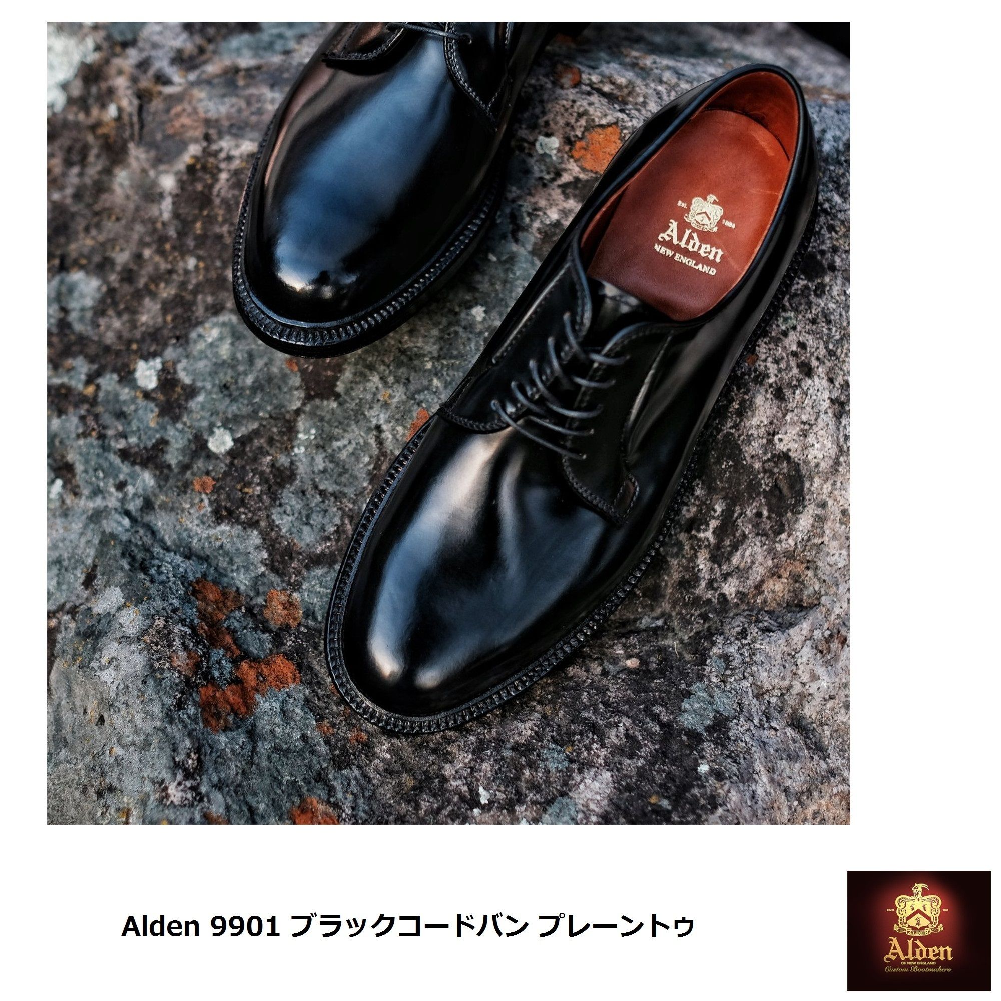 Alden] 9901 ブラックコードバン プレーントゥ (ALDEN/ドレスシューズ