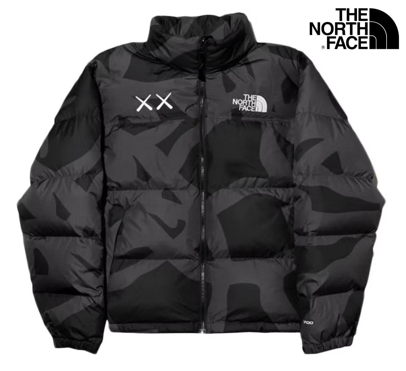 限定☆ KAWS x The North Face Retro 1996 Nuptse Jacket ヌプシ (THE