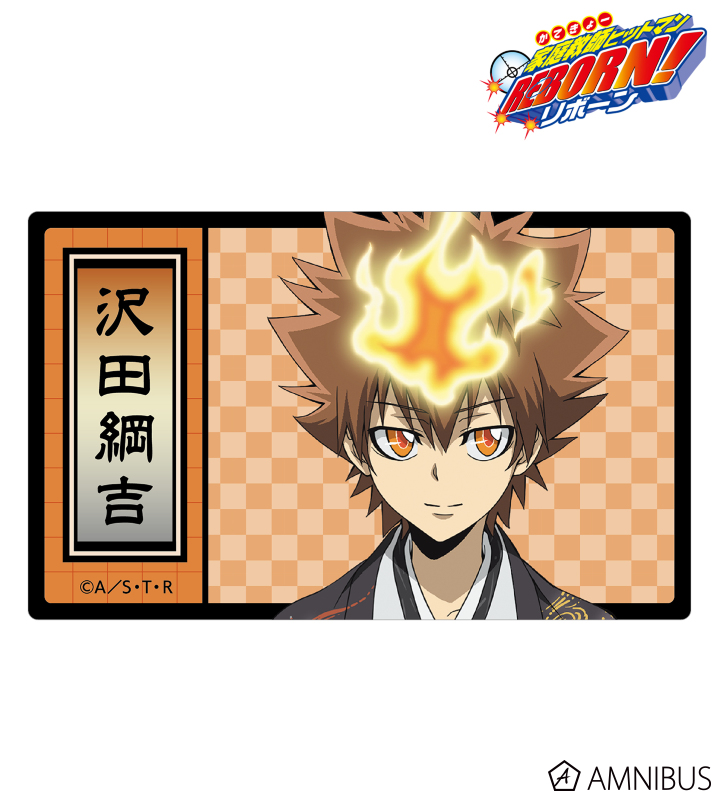 リボアニ ポストカード 沢田綱吉 専用封筒 家庭教師ヒットマンreborn