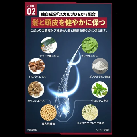 アンファースカルプD公式通販 | 予防医学のアンファーストア