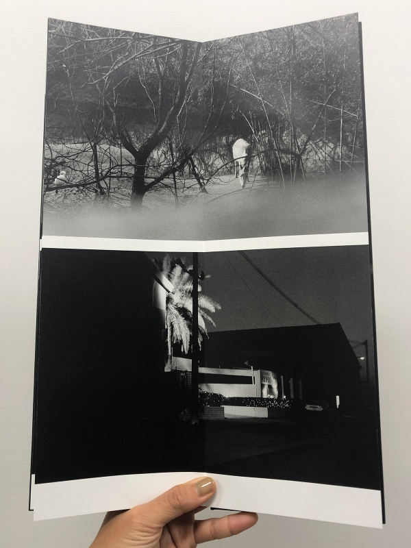 春の運命 - 野村佐紀子 | AKIO NAGASAWA