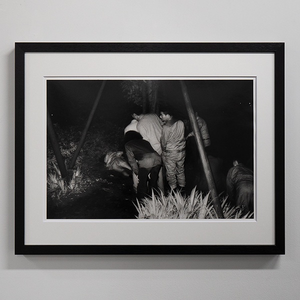The Park - Past Exhibition | AKIO NAGASAWA