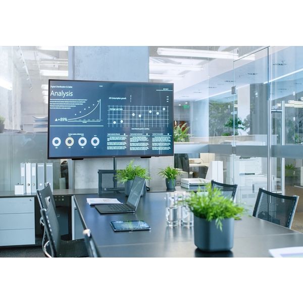 アイリスオーヤマ 4K液晶モニター 65V型 ILD-B65UHDS-B 1台（直送品