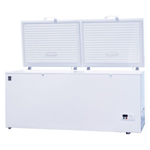 軒先渡し】レマコム 冷凍ストッカー フリーズブルシリーズ 577リットル