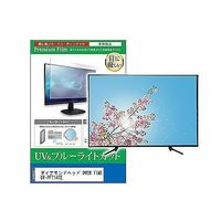 ダイアモンドヘッド 10.1インチポータブルテレビOT-3PT101AK 1台（直送