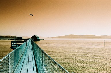 Lens: Super Lentar 28mm f/2.8 · Lomography