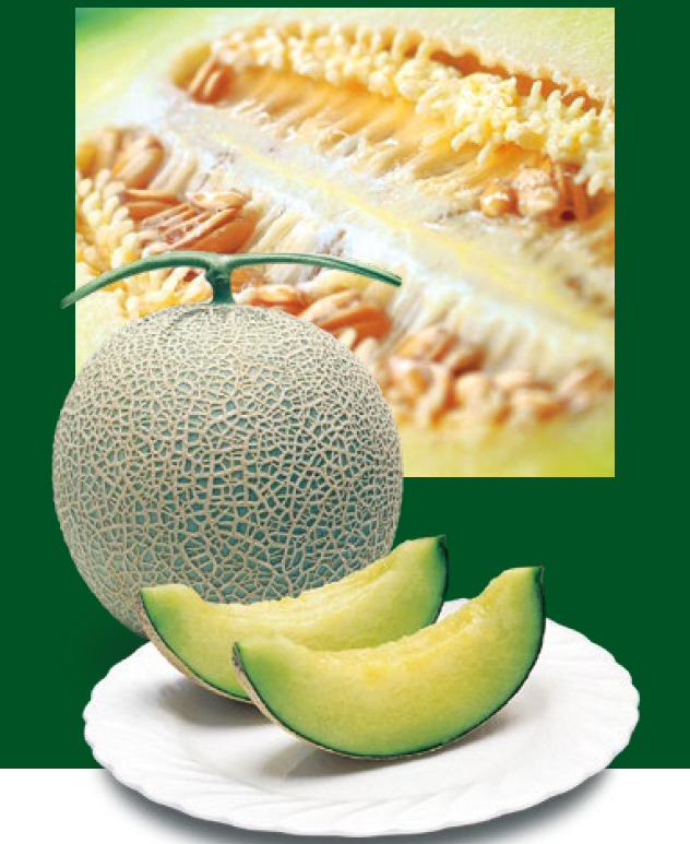 富良野市 吉田農園 商品情報