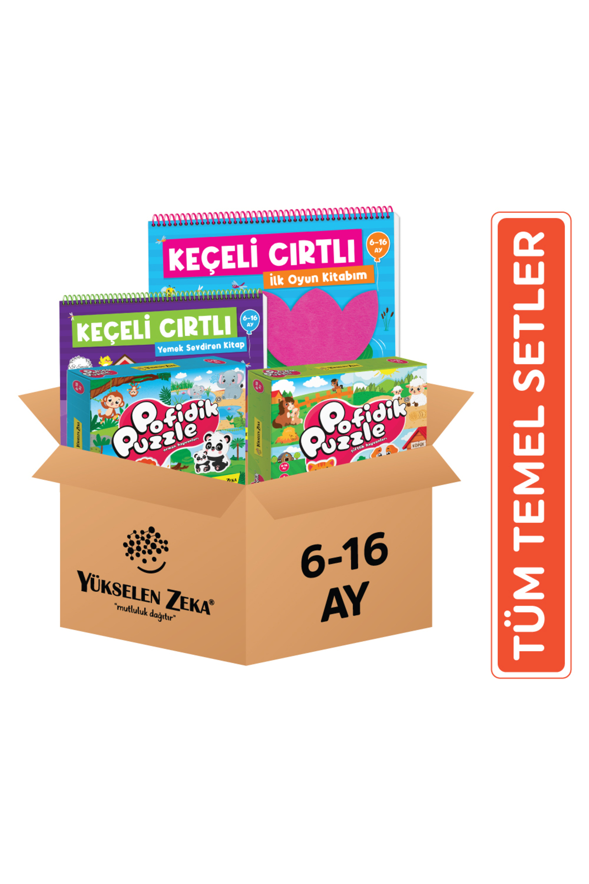 yükselen zeka 6-16 Ay Temel Setler Kolisi - Fiyatı, Yorumları