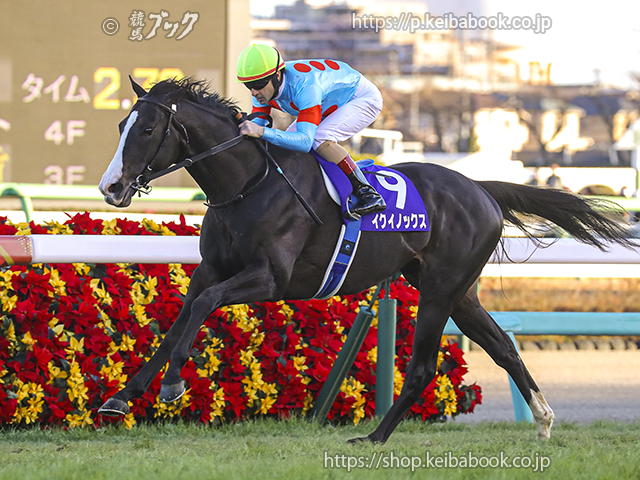 イクイノックス圧巻のトップ 宝塚記念ファン投票最終結果 | ニュース