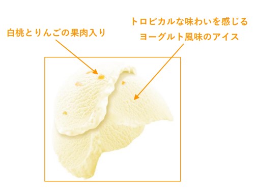 初夏にぴったり！4種のフルーツでトロピカルな味わい「明治 エッセル