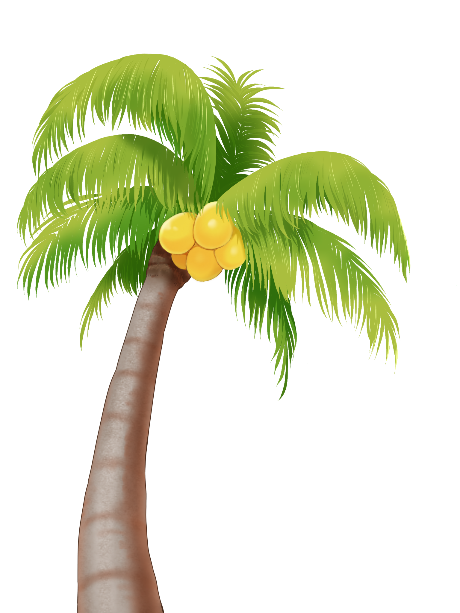 ヤシの木 - ibisPaint