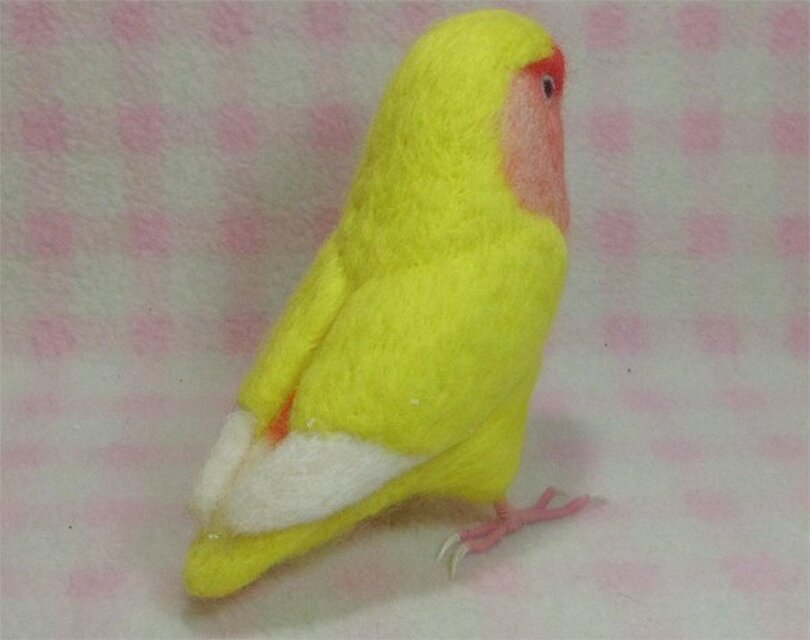 リアル コザクラインコ ルチノー ほぼライフサイズ 羊毛フェルト 受注