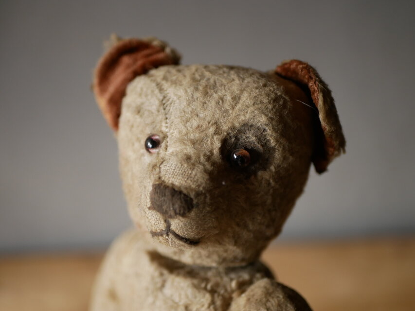 アンティークベア オールドベア フランスアンティーク アンティーク