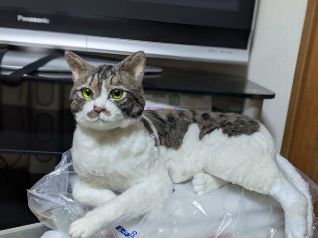 るなねこ 羊毛フェルト リアル オーダーページ | iichi 日々の暮らしを