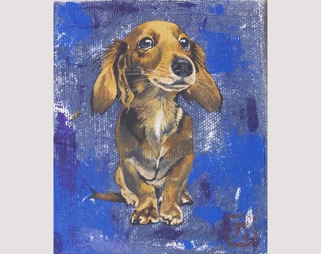 ミニチュアダックスフンド(ミニイーゼル付) | iichi 日々の暮らしを