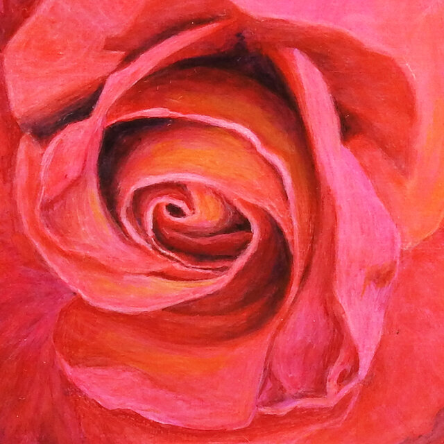 アクリル画「薔薇」redrose 原画 送料無料 | iichi 日々の暮らしを