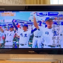 Panasonic パナソニック 32型 ブラウン管テレビ TH-32D60 2004年製 地