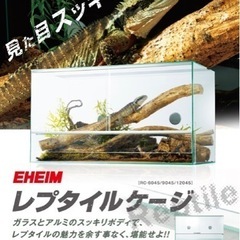 レプタイルケージの中古が安い！激安で譲ります・無料であげます