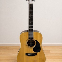 アコースティックギター Venkuri FT-812 (りつ) 住道の弦楽器、ギター