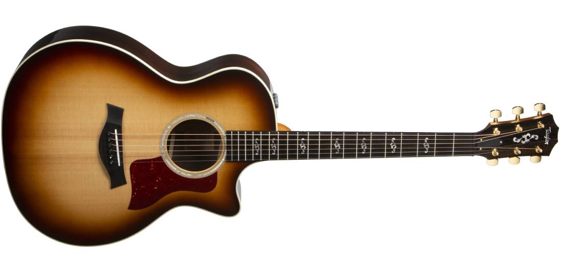 Taylor Guitars Special Edition 414ce Rosewood Grand Auditorium