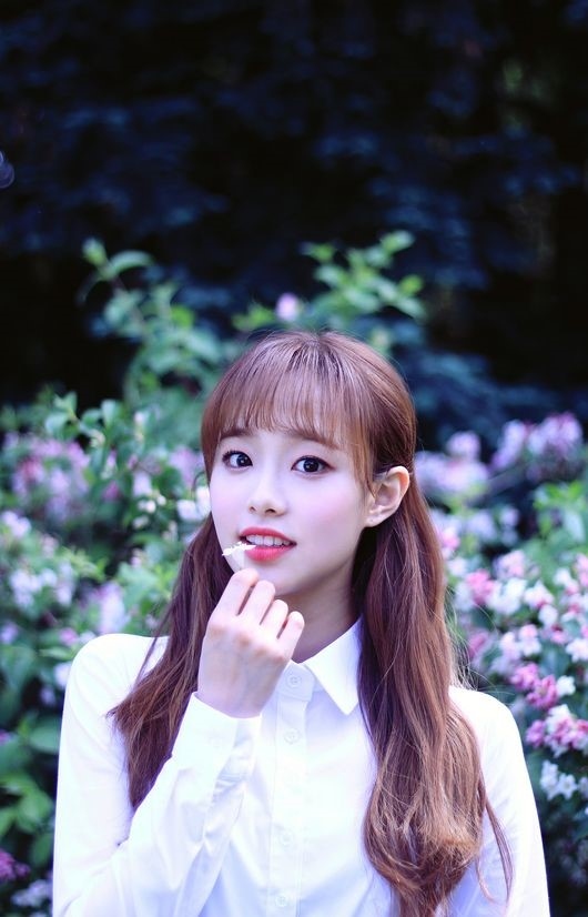 loona chuu dingo hello トレカ 今月の少女 チュウ ♡ loona chuu