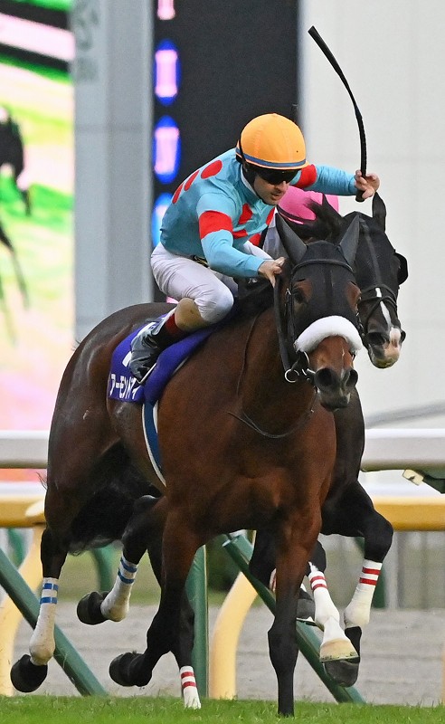 アーモンドアイ、史上初の「8冠」達成 天皇賞・秋を2連覇 [写真特集10