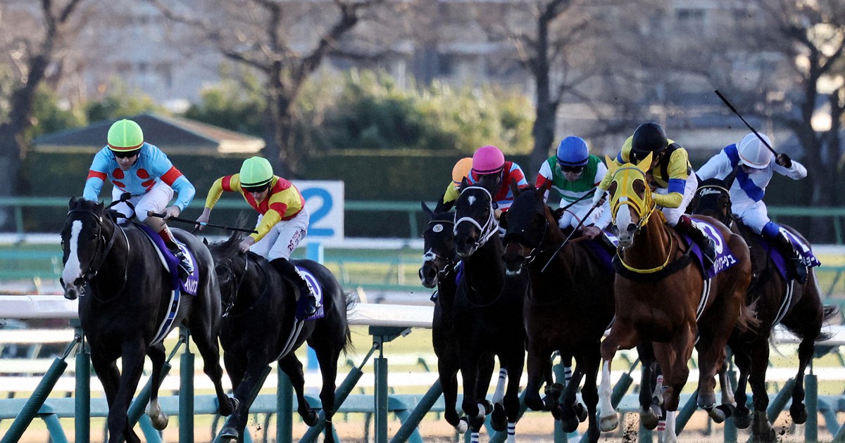 イクイノックスが優勝 競馬・有馬記念 [写真特集1/14] | 毎日新聞
