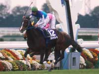 ?pid=news_img&id=451