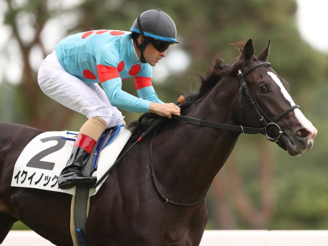 メイクデビュー新潟5Rレース後コメント】イクイノックス C.ルメール
