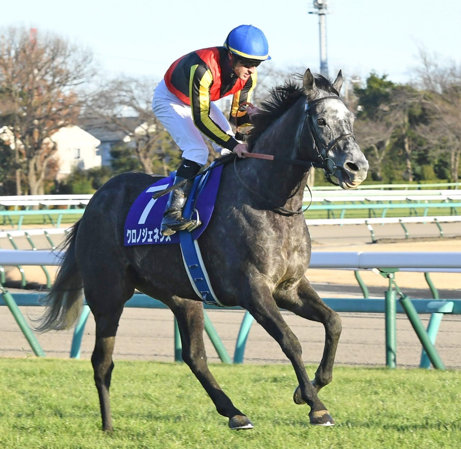 有馬記念】クロノジェネシスは3着 諦めず意地見せるもルメール「相手