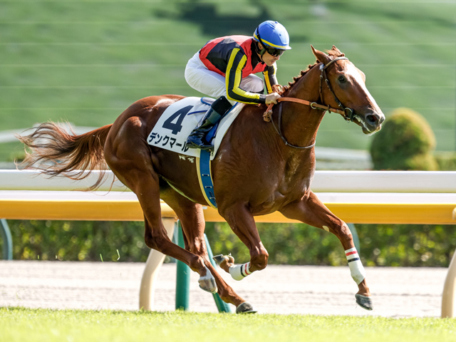 競馬 サウンドトゥルー第42回帝王賞実使用ゼッケン 森泰斗元騎手サイン