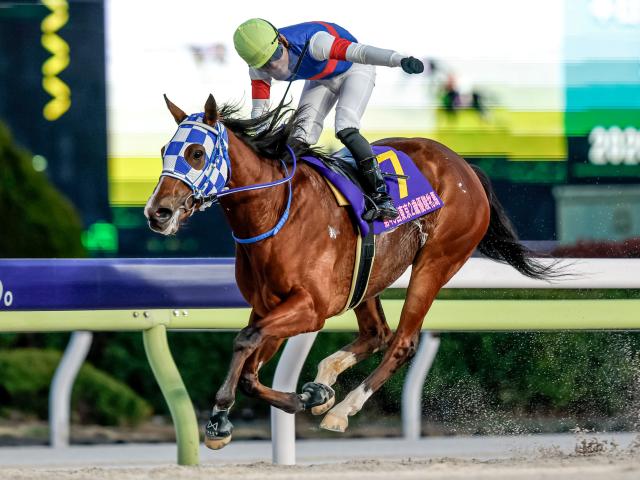 アネモネS】3歳牝馬のリステッド、上位2頭の桜切符を掴むのは/JRA