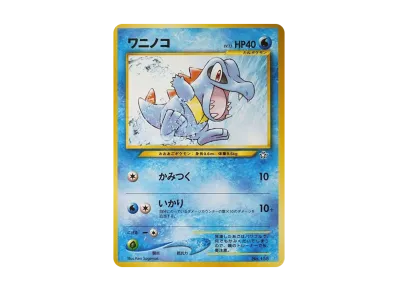 リザードンプレミアムファイル2: 旧裏[neoP2 No.006](プレミアム