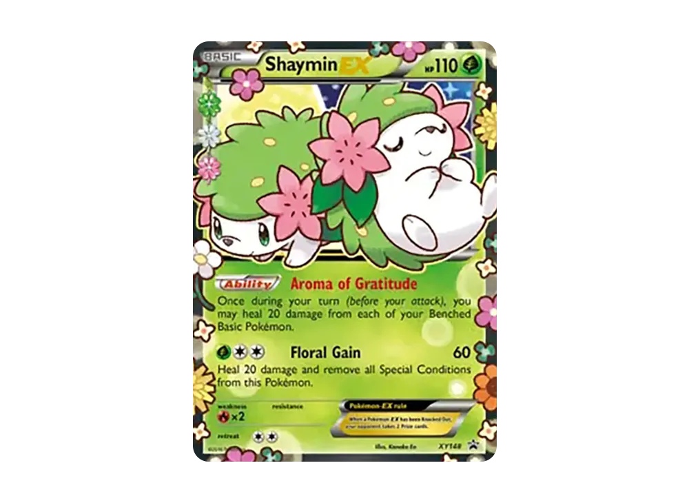 pkmn-tcg-en-XY-P-XY148-ot.webp