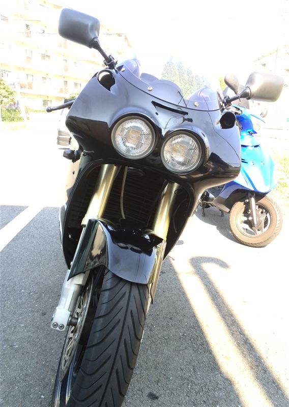 ZXR250(カワサキ) | まるごと苺大福の愛車 | みんカラ