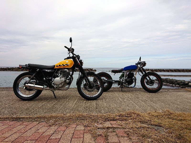 TW フロントフォーク オイル交換（ヤマハ TW225E）by RSN100 - みんカラ